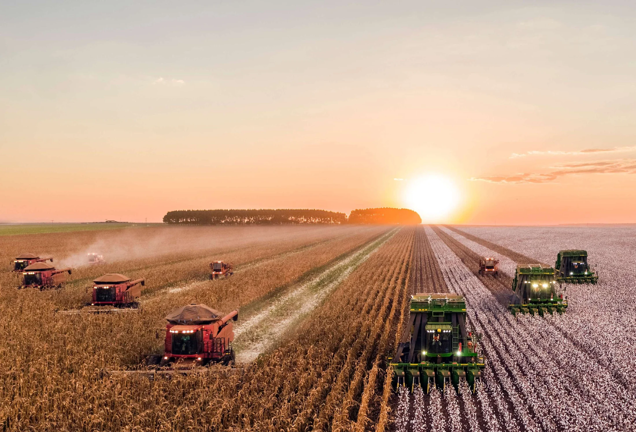 Engol company profile agricultural operations